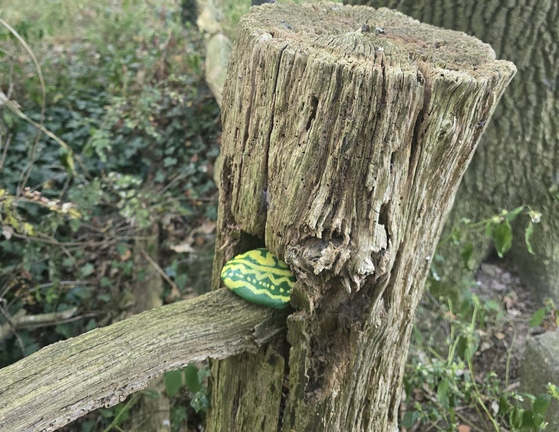 Groen